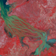 Illustration for article titled A Rainbow River in Madagascar